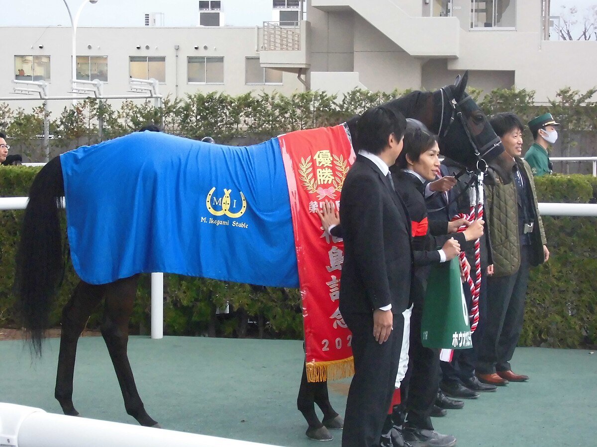 🏇 후쿠시마 경마장 이미지 12